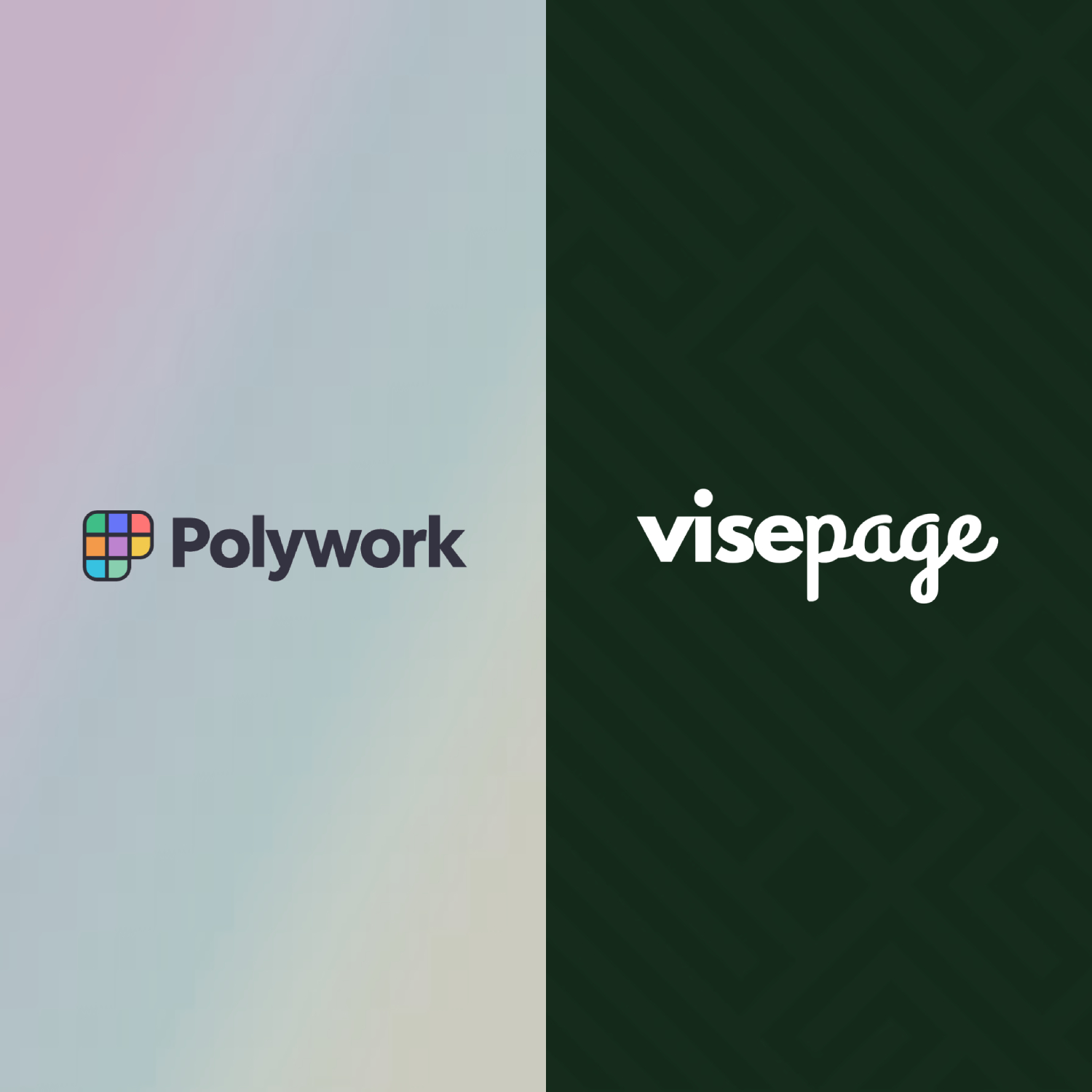 Professional reviewing website migration options after Polywork shutdown