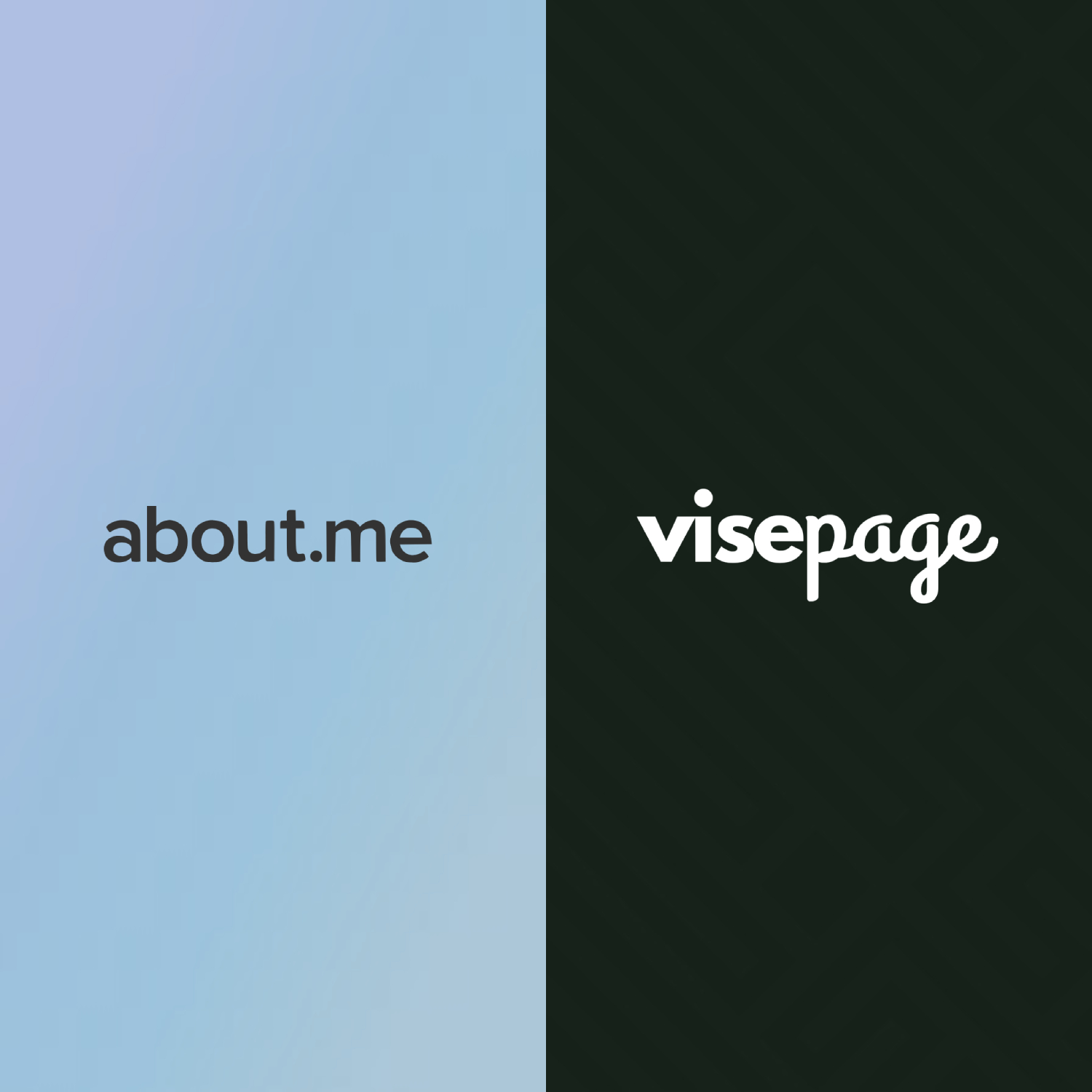 Consultant evaluating a simple bio page versus a full professional website